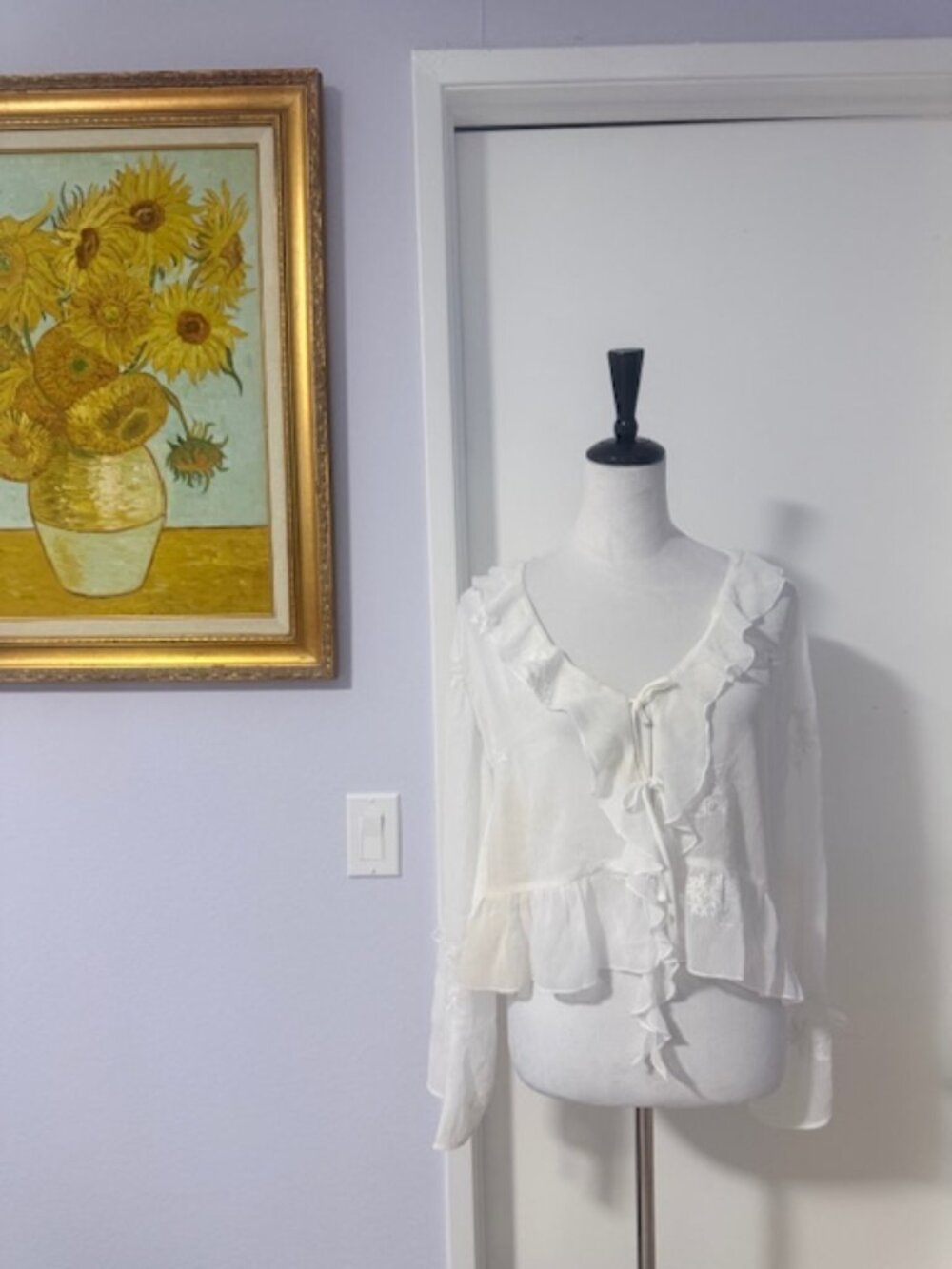 Altar'D State chiffon embroidery long sleeve top